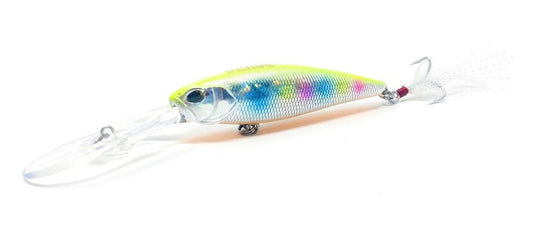 VENSE-SENUELO-PERCHA DIVER 80 003 CHART RAINBOW