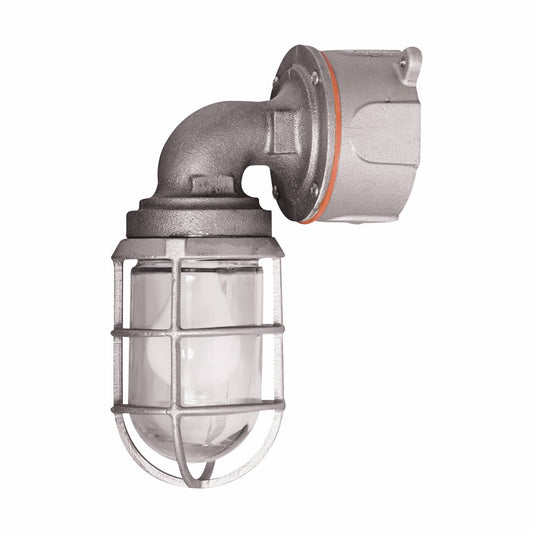 Pauluhn ProGuard Lighting Wall Mount Incandescent Fixture