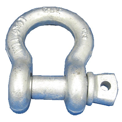 Anchor Shackle Galvanized